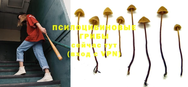 спиды Балабаново