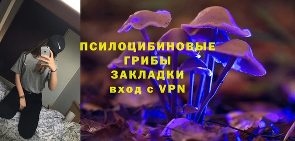 молекула духа Баксан