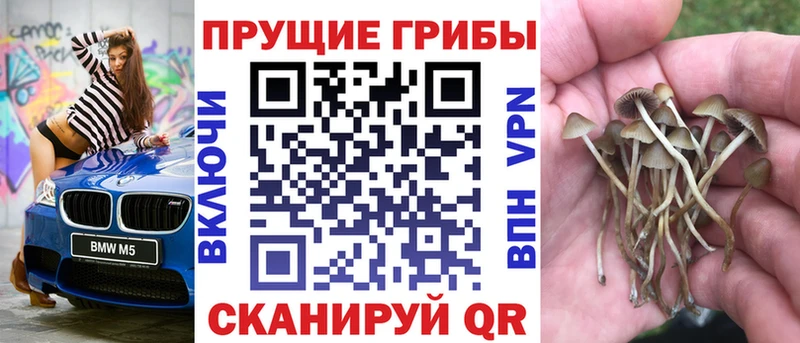 Галлюциногенные грибы ЛСД  Кудрово 